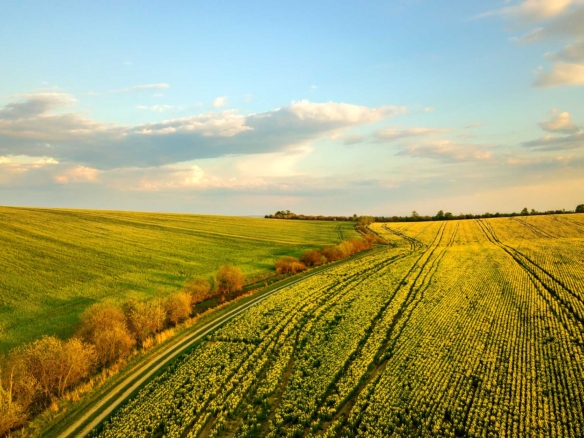 Equestrian Land